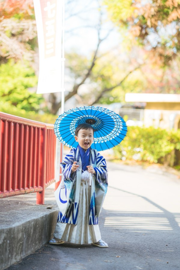 撮影写真